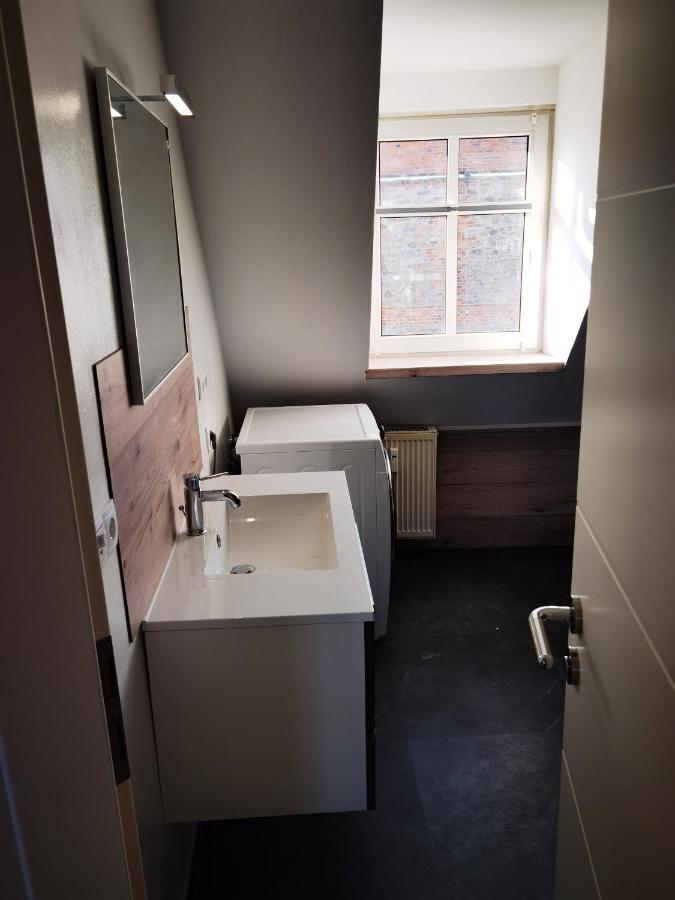 Gemuetliche Dachwohnung Mit Kleiner Oder Grosser Dachterrasse Nebeneinander Вольмирштедт Экстерьер фото