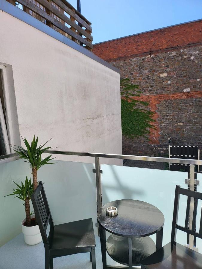Gemuetliche Dachwohnung Mit Kleiner Oder Grosser Dachterrasse Nebeneinander Вольмирштедт Экстерьер фото