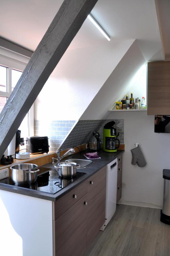 Gemuetliche Dachwohnung Mit Kleiner Oder Grosser Dachterrasse Nebeneinander Вольмирштедт Экстерьер фото